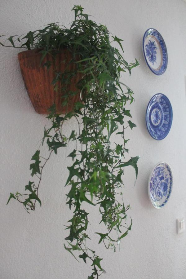 Hedera Lägenhet Candeleda Exteriör bild